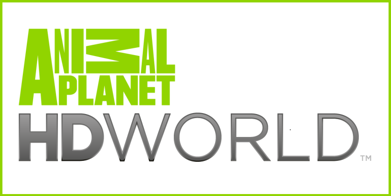 Animal Planet HD World to air ‘Meet the Orangutans’