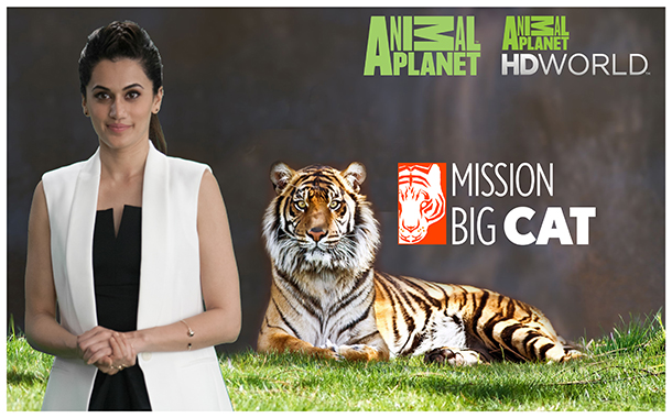 Animal Planet Mission Big Cat',