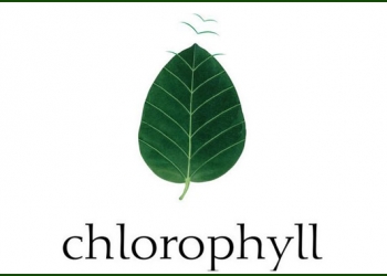 chlorophyll enters its 20th year as chlorophyll 3.0 - with new offerings to help clients 'Mind The Gap'