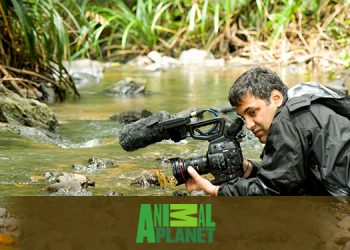 Animal Planet to premiere documentary film ‘The Secret Life of Frogs’ on amphibians of India