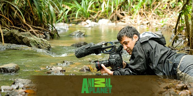 Animal Planet to premiere documentary film ‘The Secret Life of Frogs’ on amphibians of India
