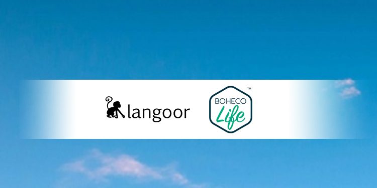 Langoor bags Digital creative mandate of Boheco Life