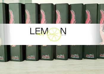 Activation agency ‘Lemon’ Wins 10 Awards at Flame Awards Mumbai