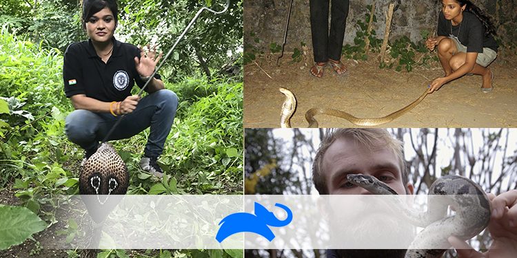 Animal Planet to air Snake Squad on August 15th 2019 ; off-beat 10-part docu-series on Snake Rescuers in India