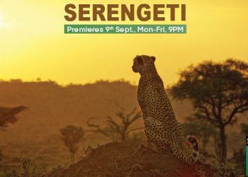 Sony BBC Earth to premiere ‘Serengeti’ – a series on Africa’s most charismatic animals and their many emotions