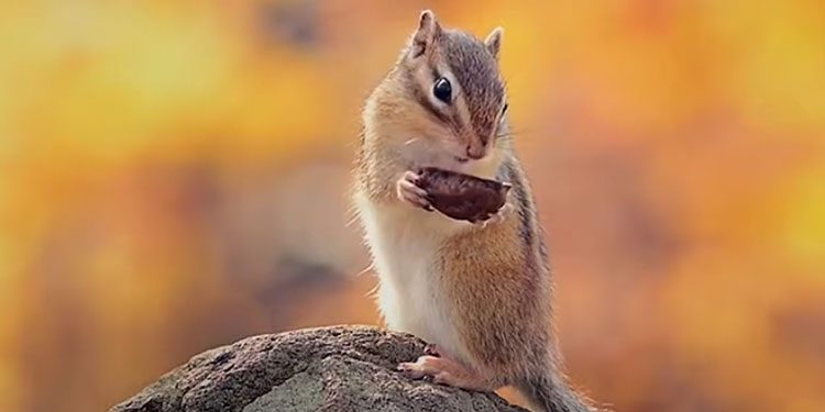 Network Advertising unveils new series of unconventional ads for Mahindra Lifespaces’ newly launched residential project ‘Vicino’