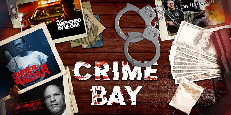 DocuBay Signs Global Distribution Deal with US-Based 1091