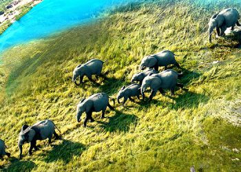 Sony BBC Earth brings an eye opening docu-film, ‘Climate Change – The Facts’