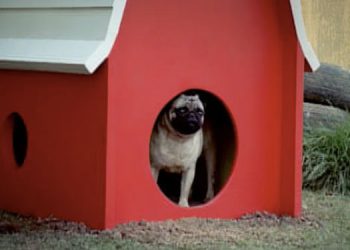 The Vodafone pug is back – telling everyone: Our network is at home with you. Stay home, stay safe