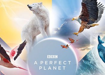 Sony BBC Earth unfolds the varied aspects of the world in its series, A Perfect Planet