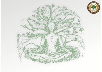 All India Institute of Ayurveda launches ‘Yoga Se Ayu’ campaign