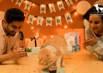 Heads Up For Tails releases a community inspired brand campaign #HUFTFamilyTales