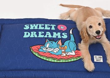 Mutt of Course and Warner Bros. Consumer Products launch ‘Tom & Jerry‘ collection for pets