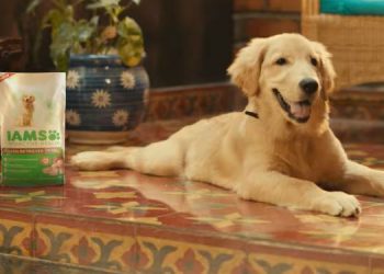 Supertails launches new ad film titled 'super store that comes to your door'