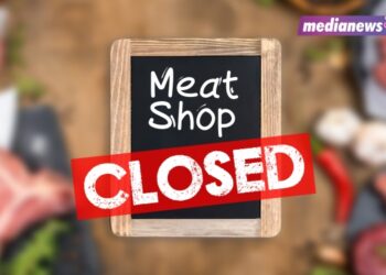 Unviable models, funding freeze; Differentiated D2C meat models will survive, some won’t: Experts