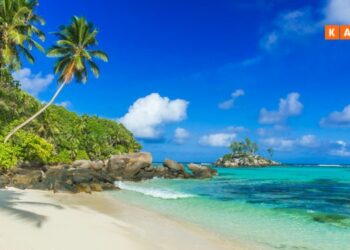 Four in five Indians say will reduce discretionary spends for festive season trips: Kayak research