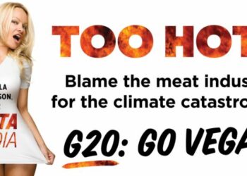 PETA claims Delhi billboard featuring Pamela Anderson targeting G20 delegates removed without explanation