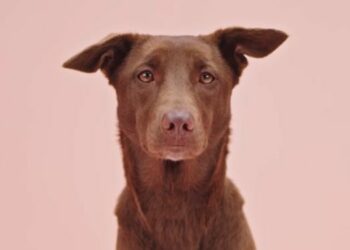 Blissclub launches Bitchclub, tells women they need to put themselves first