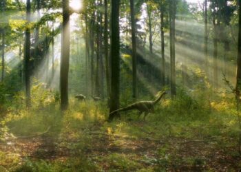 Sony BBC Earth Brings Christmas Joy with ‘All Things Sweet’ and ‘Earth’ Premiere!