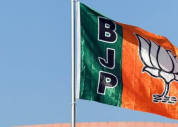 Election 2024: McCann WG and Scarecrow handle creative duties for BJP