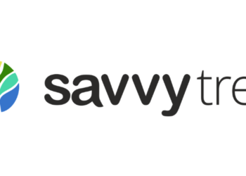 Savvytree marks 4-Year digital success, celebrating growth and innovation