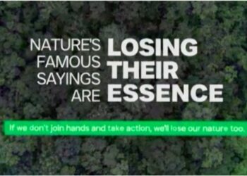 World Environment Day: Brands Embrace Eco-Friendly Initiatives, Champion Environmental Action